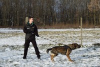 /album/a28-januara-2015/hax-zamat-2801015-02-jpg/